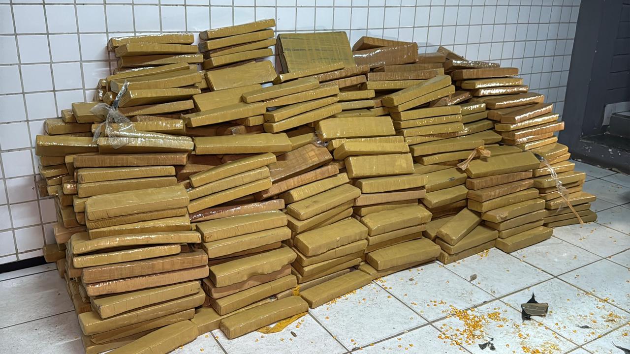 Forças de segurança do Maranhão retiram quatro toneladas de drogas de circulação
