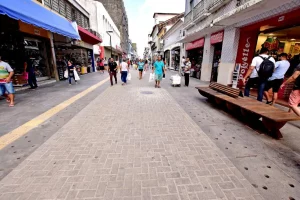 Dia do Servidor Público: veja o que funciona durante o ponto facultativo em São Luís
