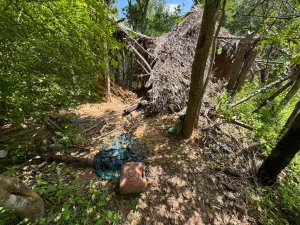 Criança de 8 anos foi encontrada a 500 metros de casa no meio do mato após sair para buscar ajuda