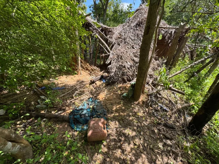 Criança de 8 anos foi encontrada a 500 metros de casa no meio do mato após sair para buscar ajuda