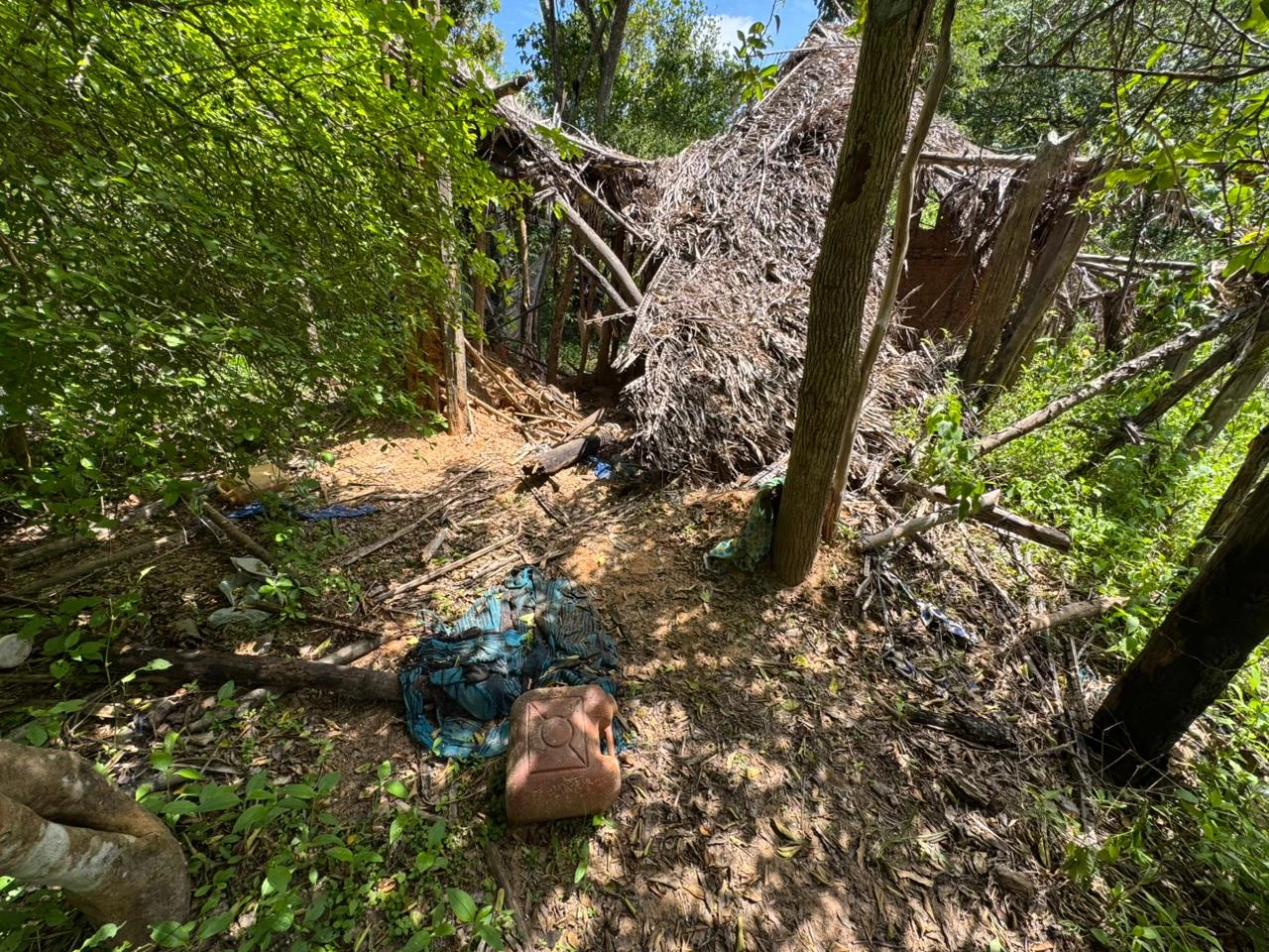 Criança de 8 anos foi encontrada a 500 metros de casa no meio do mato após sair para buscar ajuda