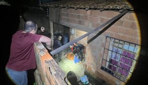 ACUSADO POR TRÁFICO DE DROGAS E HOMICÍDIO É PRESO EM AÇAILÂNDIA